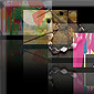 my FLASH site